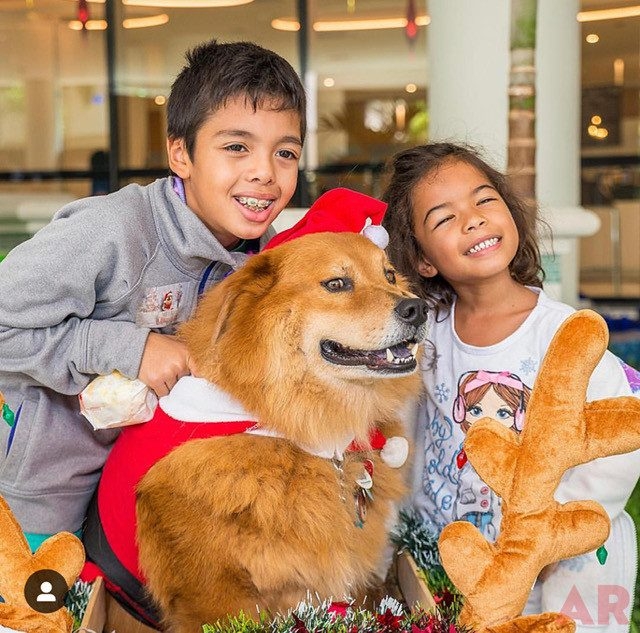 Annual Christmas Oncology Celebration by Family Esko at Nicklaus Children’s Hospital | Ale Ramos Therapy Animals