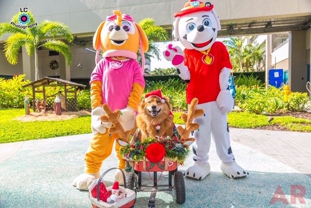 Annual Christmas Oncology Celebration by Family Esko at Nicklaus Children’s Hospital | Ale Ramos Therapy Animals