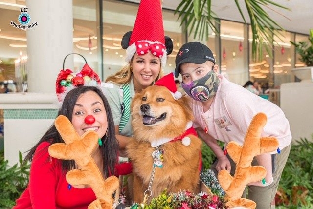 Annual Christmas Oncology Celebration by Family Esko at Nicklaus Children’s Hospital | Ale Ramos Therapy Animals