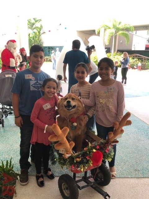 Annual Christmas Oncology Celebration by Family Esko at Nicklaus Children’s Hospital | Ale Ramos Therapy Animals