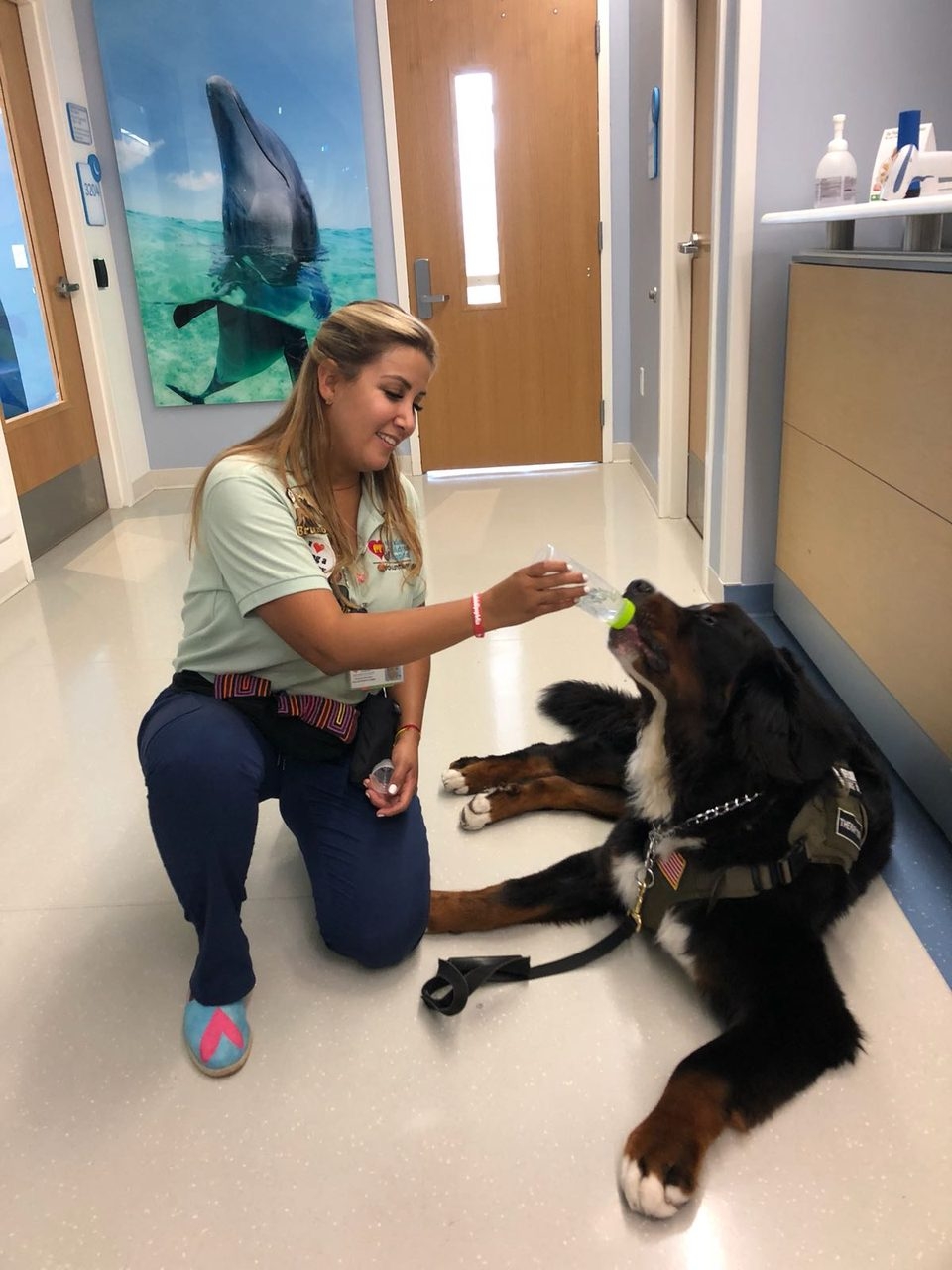 Apollo Adventures | Ale Ramos Therapy Animals