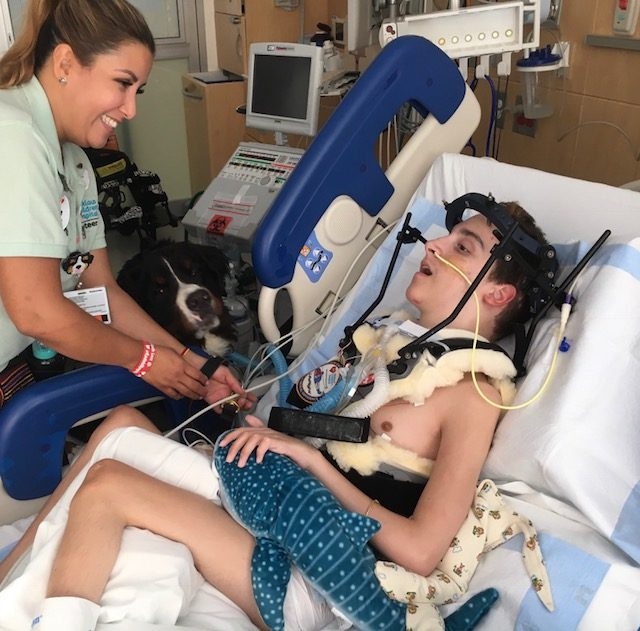 Apollo Adventures | Ale Ramos Therapy Animals
