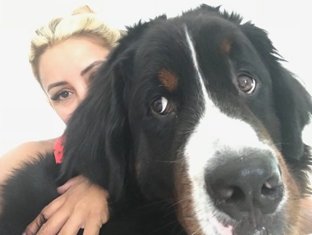 Apollo Adventures | Ale Ramos Therapy Animals