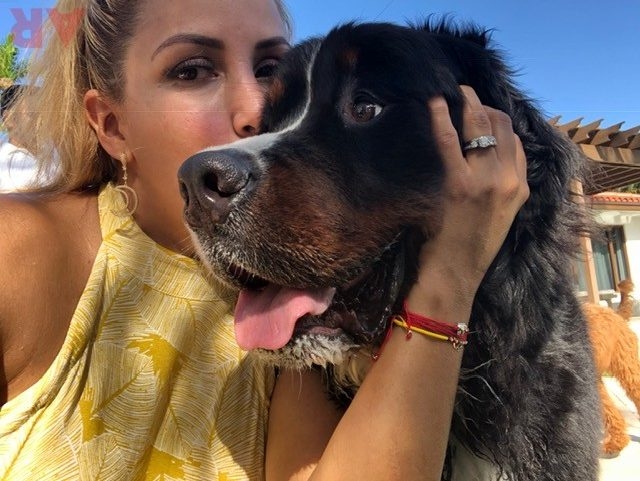 Apollo Adventures | Ale Ramos Therapy Animals