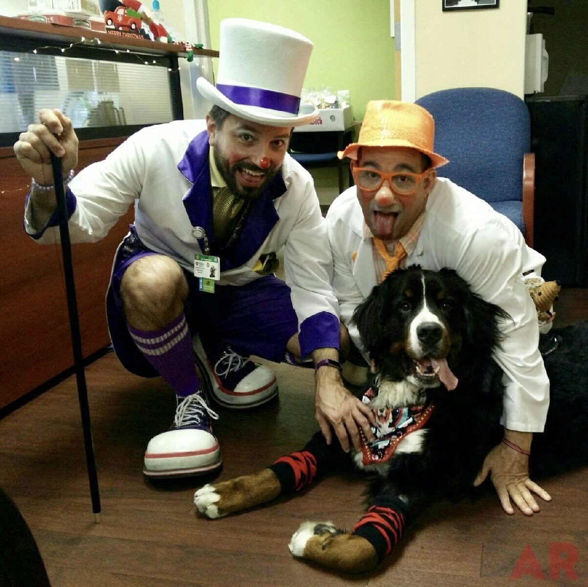 Apollo Adventures | Ale Ramos Therapy Animals