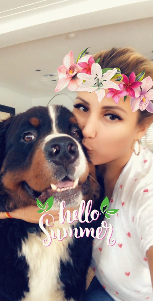 Apollo Adventures | Ale Ramos Therapy Animals