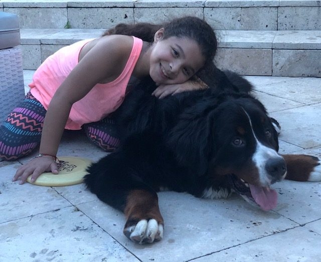 Apollo Adventures | Ale Ramos Therapy Animals