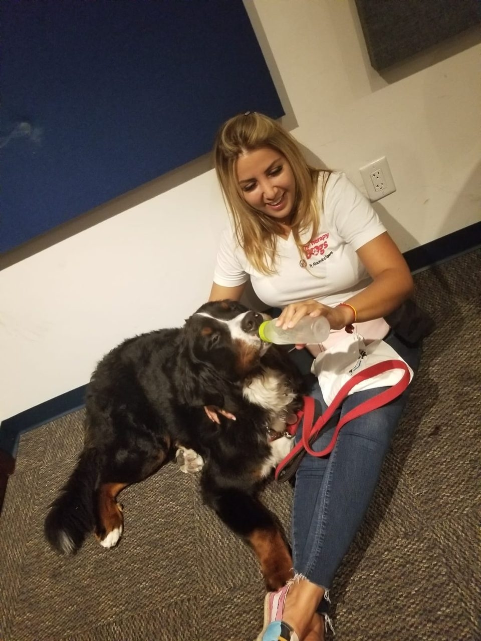Apollo Adventures | Ale Ramos Therapy Animals
