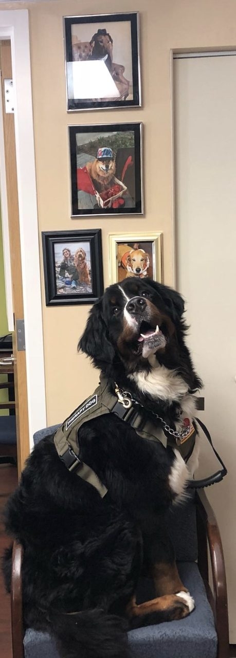 Apollo first day at Nicklaus Children’s Hospital | Ale Ramos Therapy Animals