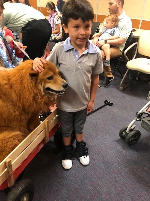 BWS event by Nicklaus Children’s Hospital | Ale Ramos Therapy Animals