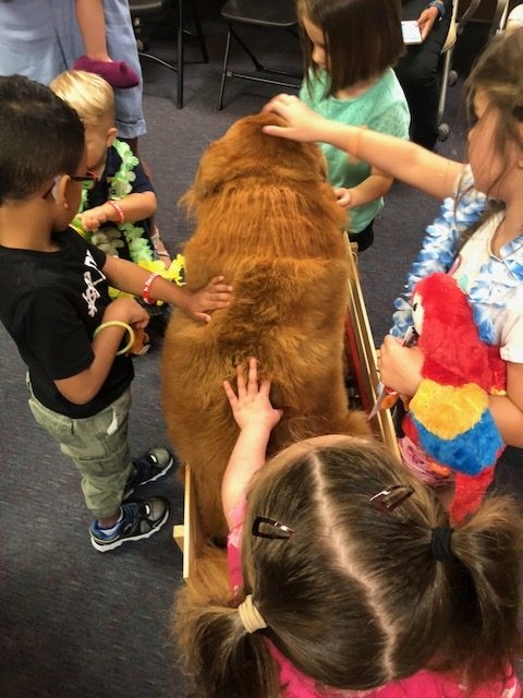 BWS event by Nicklaus Children’s Hospital | Ale Ramos Therapy Animals