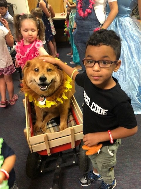 BWS event by Nicklaus Children’s Hospital | Ale Ramos Therapy Animals