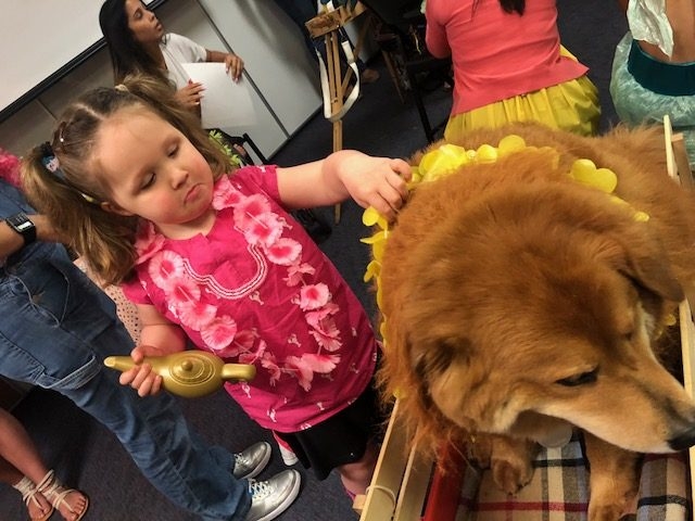 BWS event by Nicklaus Children’s Hospital | Ale Ramos Therapy Animals
