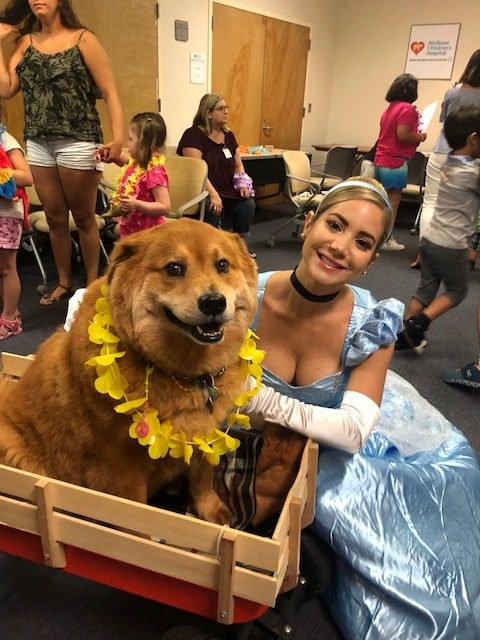 BWS event by Nicklaus Children’s Hospital | Ale Ramos Therapy Animals