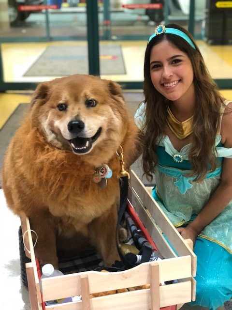 BWS event by Nicklaus Children’s Hospital | Ale Ramos Therapy Animals