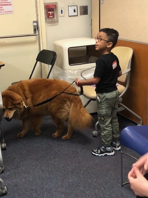 BWS event by Nicklaus Children’s Hospital | Ale Ramos Therapy Animals
