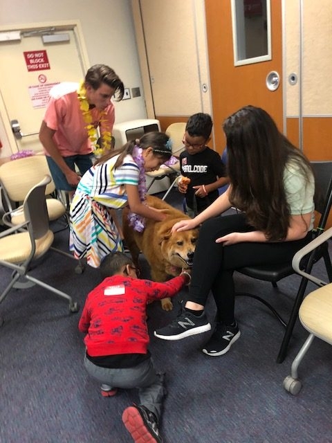 BWS event by Nicklaus Children’s Hospital | Ale Ramos Therapy Animals