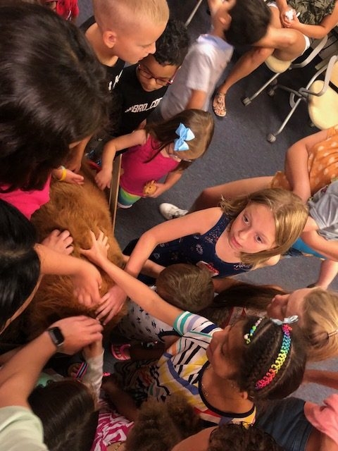 BWS event by Nicklaus Children’s Hospital | Ale Ramos Therapy Animals