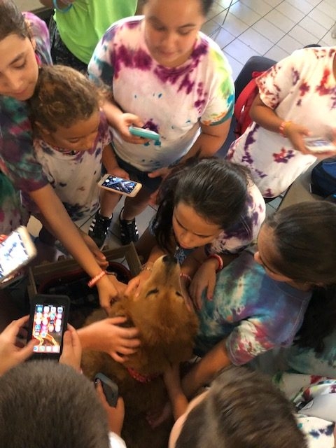 “Camp Roaring Sun” by Nicklaus Children’s Hospital | Ale Ramos Therapy Animals