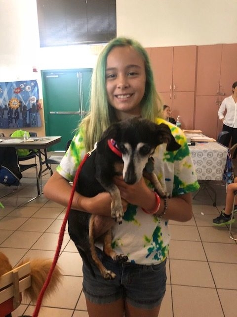 “Camp Roaring Sun” by Nicklaus Children’s Hospital | Ale Ramos Therapy Animals