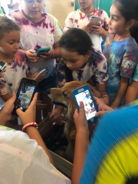 “Camp Roaring Sun” by Nicklaus Children’s Hospital | Ale Ramos Therapy Animals