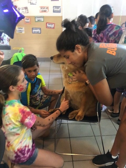 “Camp Roaring Sun” by Nicklaus Children’s Hospital | Ale Ramos Therapy Animals