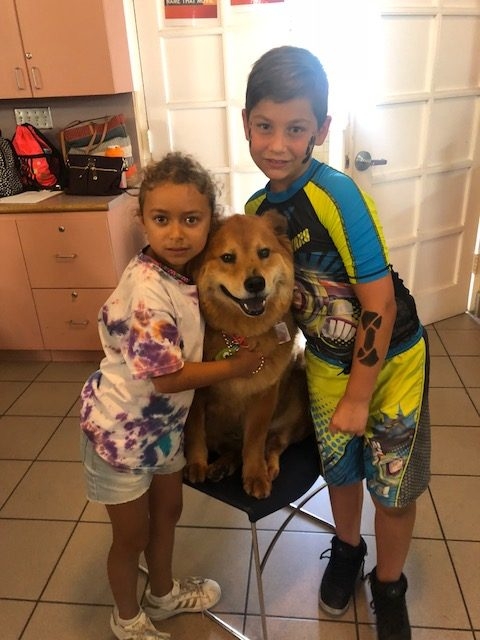 “Camp Roaring Sun” by Nicklaus Children’s Hospital | Ale Ramos Therapy Animals