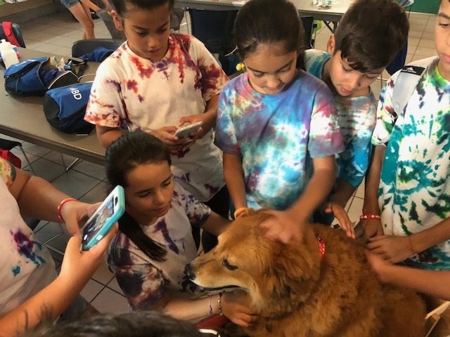 “Camp Roaring Sun” by Nicklaus Children’s Hospital | Ale Ramos Therapy Animals