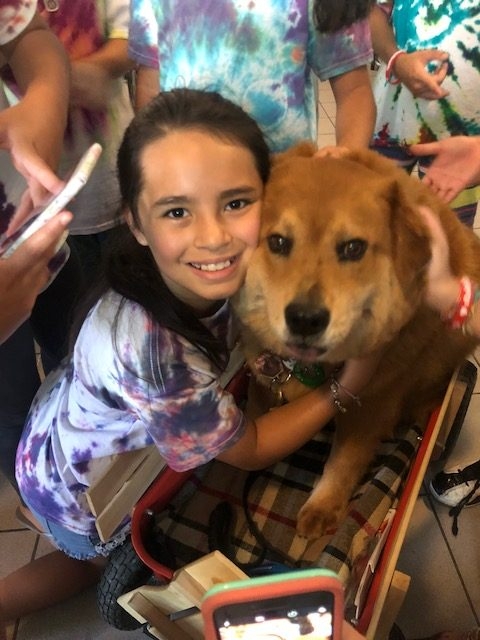 “Camp Roaring Sun” by Nicklaus Children’s Hospital | Ale Ramos Therapy Animals