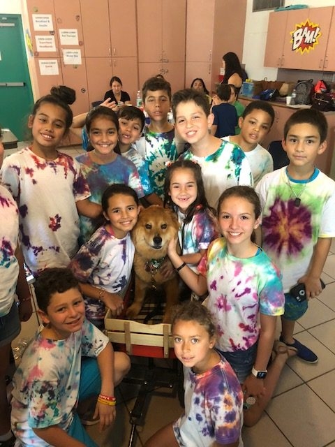 “Camp Roaring Sun” by Nicklaus Children’s Hospital | Ale Ramos Therapy Animals