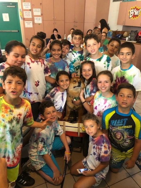 “Camp Roaring Sun” by Nicklaus Children’s Hospital | Ale Ramos Therapy Animals