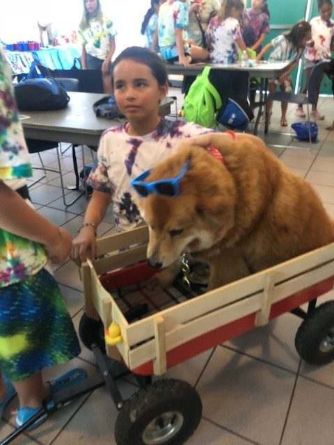 “Camp Roaring Sun” by Nicklaus Children’s Hospital | Ale Ramos Therapy Animals