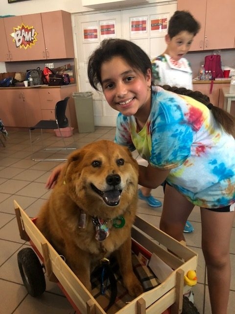 “Camp Roaring Sun” by Nicklaus Children’s Hospital | Ale Ramos Therapy Animals