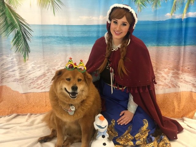 “Christmas in July” by Nicklaus Children’s Hospital | Ale Ramos Therapy Animals