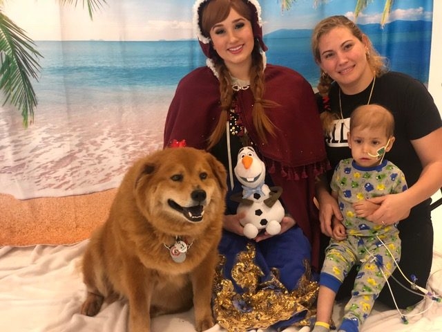 “Christmas in July” by Nicklaus Children’s Hospital | Ale Ramos Therapy Animals
