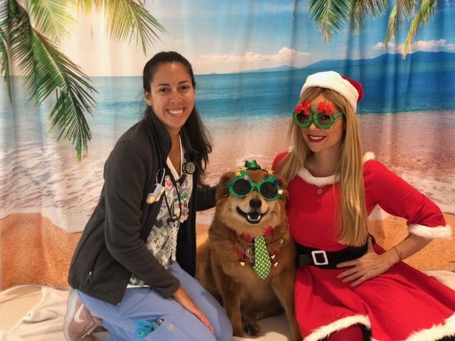 “Christmas in July” by Nicklaus Children’s Hospital | Ale Ramos Therapy Animals