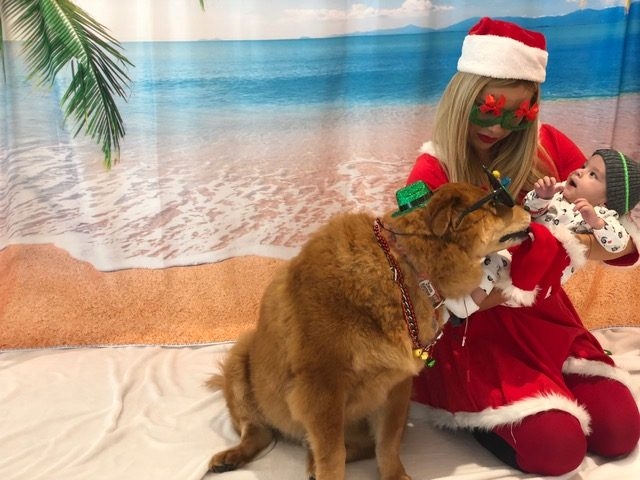 “Christmas in July” by Nicklaus Children’s Hospital | Ale Ramos Therapy Animals