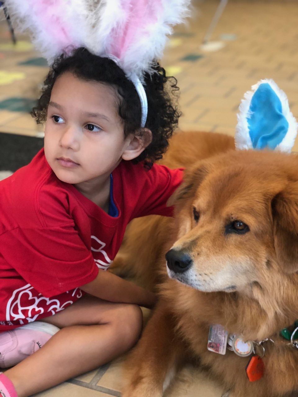 Easter Day at Ronald McDonald House | Ale Ramos Therapy Animals