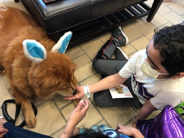 Easter Day at Ronald McDonald House | Ale Ramos Therapy Animals