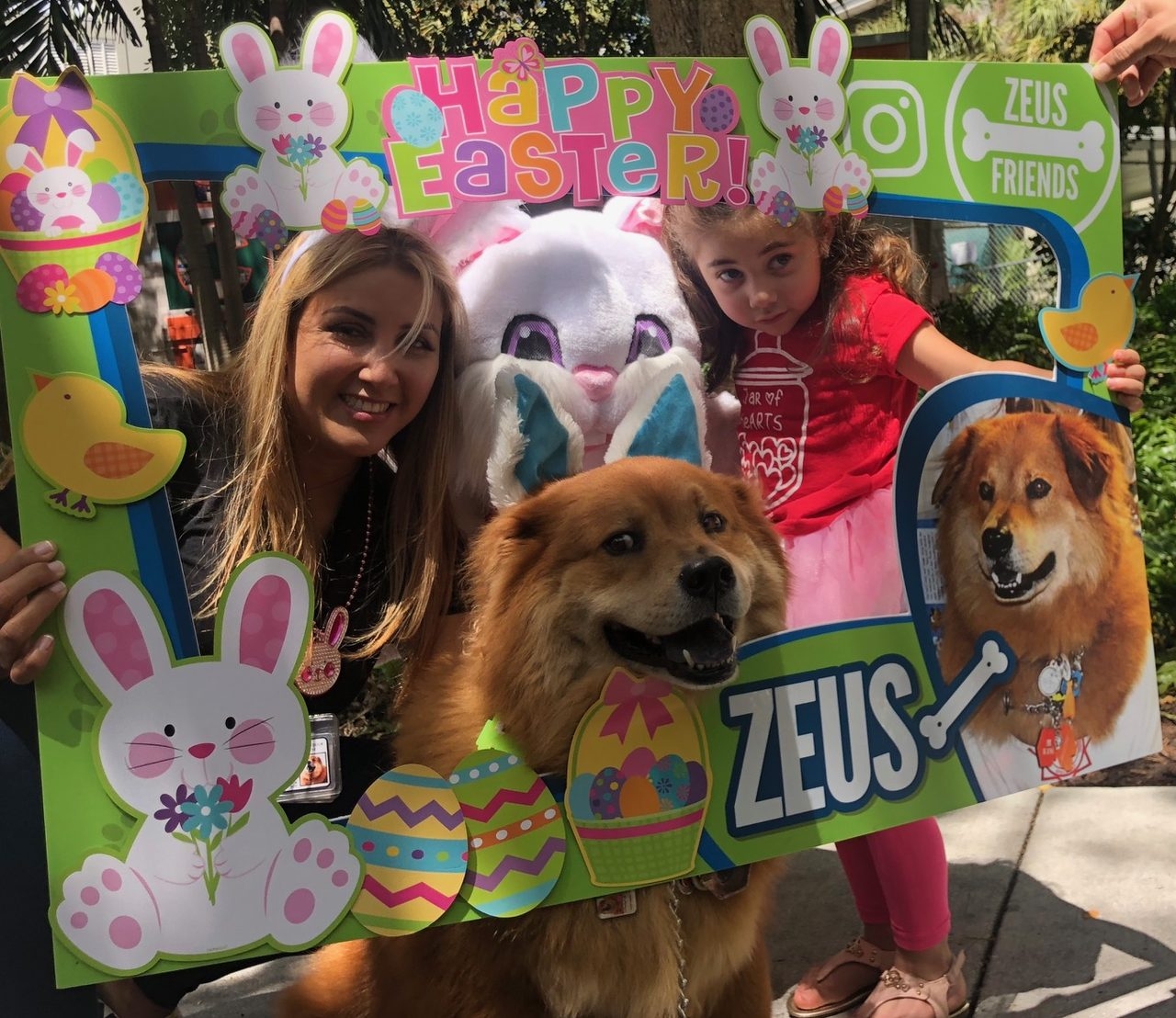 Easter Day at Ronald McDonald House | Ale Ramos Therapy Animals