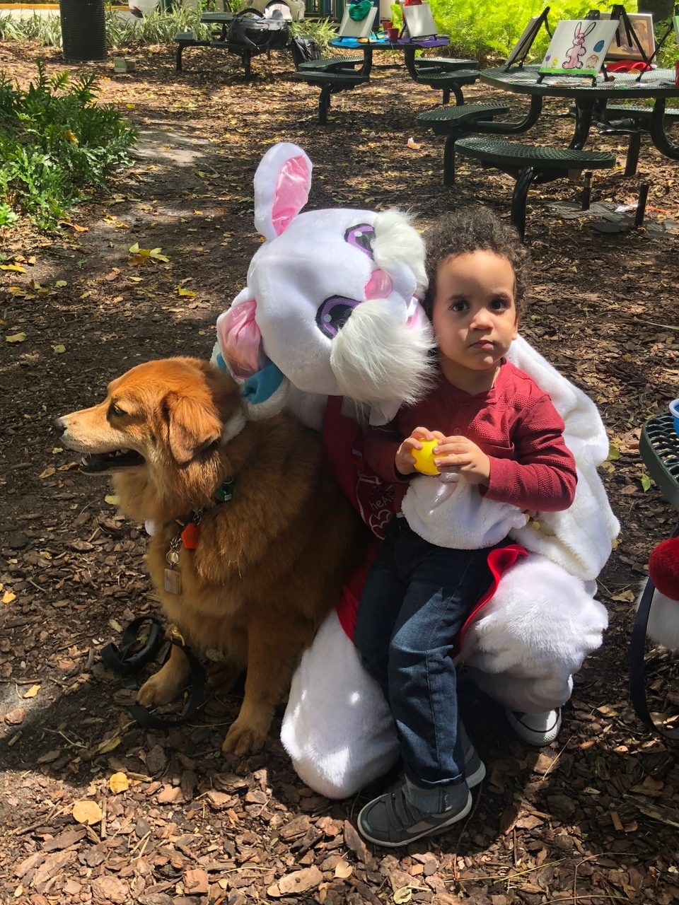 Easter Day at Ronald McDonald House | Ale Ramos Therapy Animals
