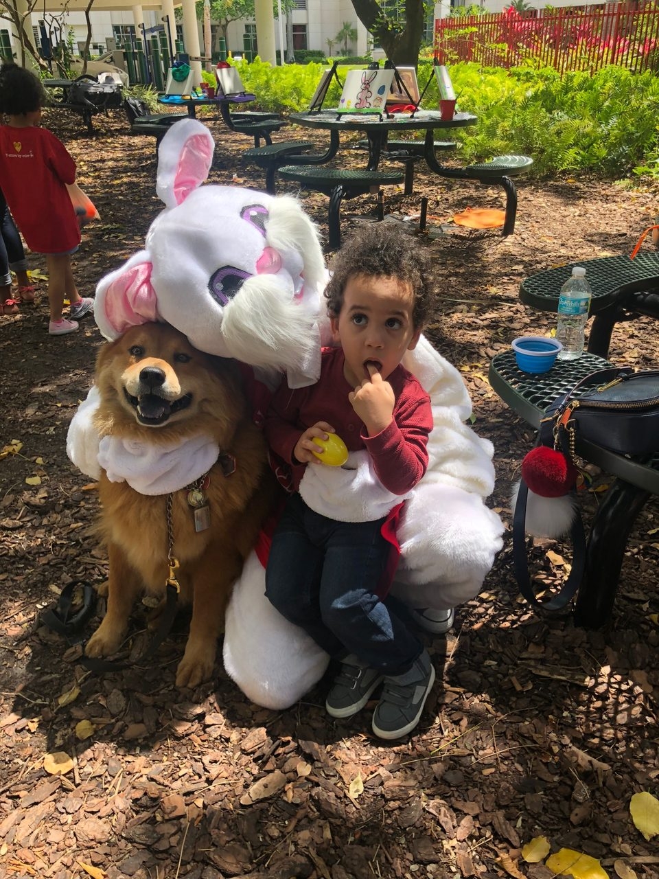 Easter Day at Ronald McDonald House | Ale Ramos Therapy Animals