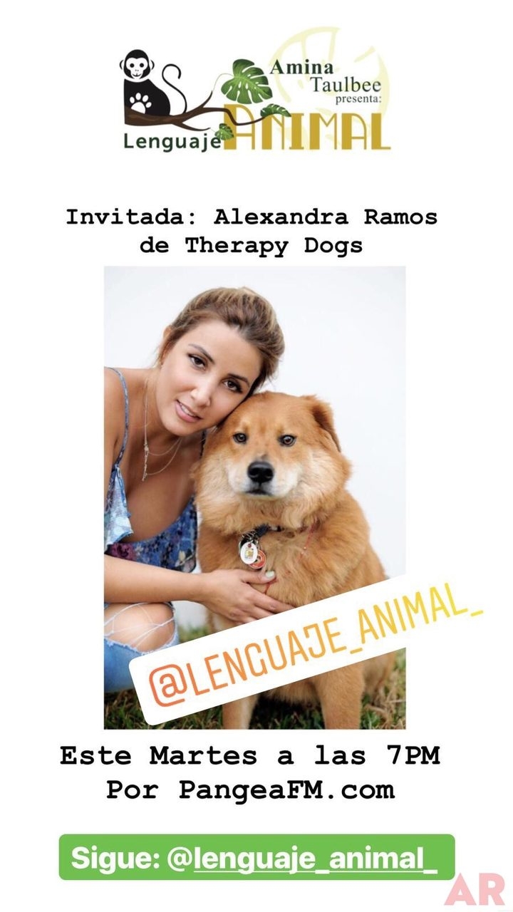 Entrevista Lenguaje Animal por Amina Taulbee Pangea FM | Ale Ramos Therapy Animals