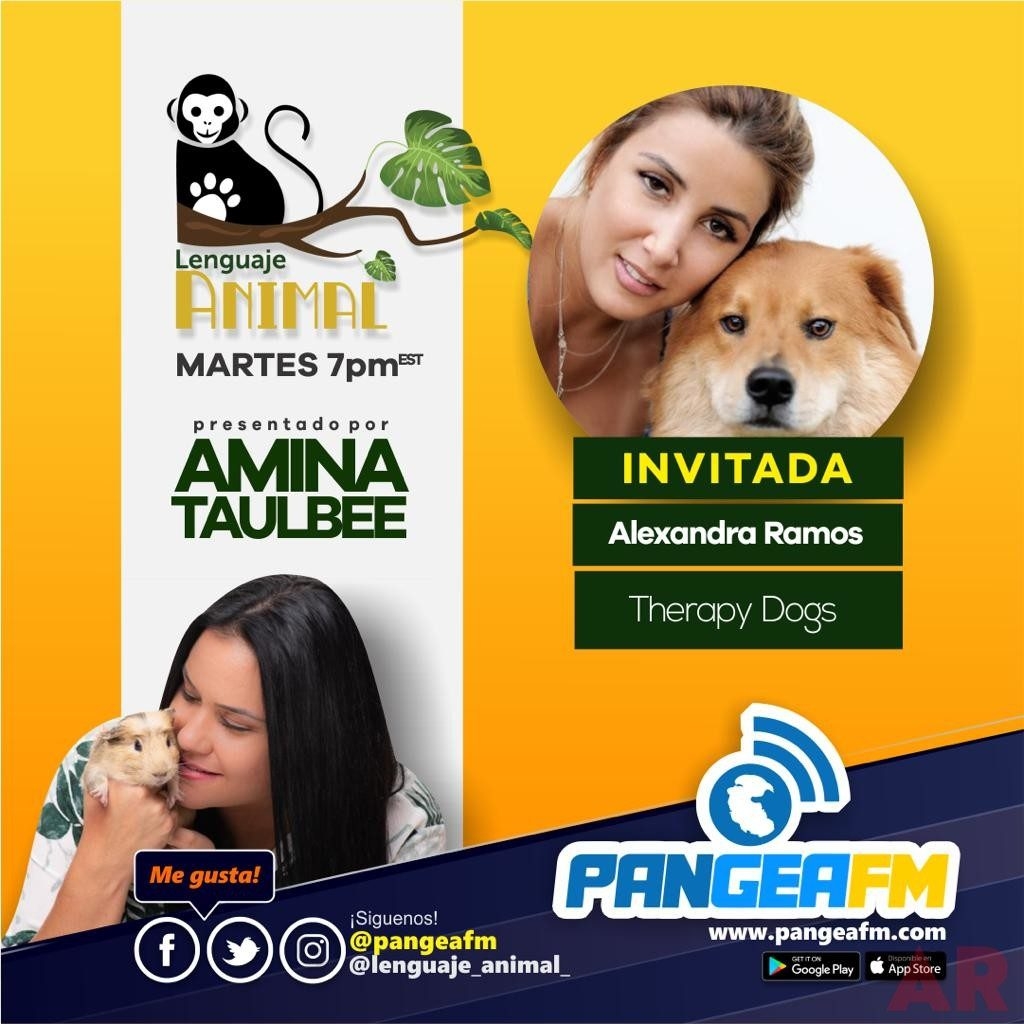 Entrevista Lenguaje Animal por Amina Taulbee Pangea FM | Ale Ramos Therapy Animals