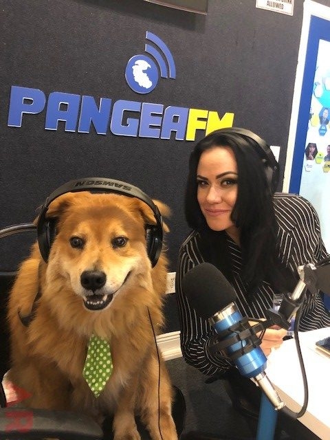 Entrevista Lenguaje Animal por Amina Taulbee Pangea FM | Ale Ramos Therapy Animals