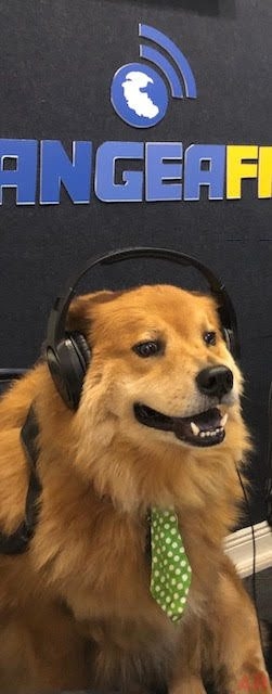 Entrevista Lenguaje Animal por Amina Taulbee Pangea FM | Ale Ramos Therapy Animals