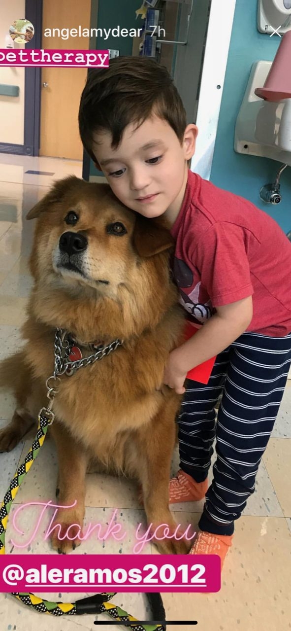 Event Cardiology Patients Reunion | Ale Ramos Therapy Animals