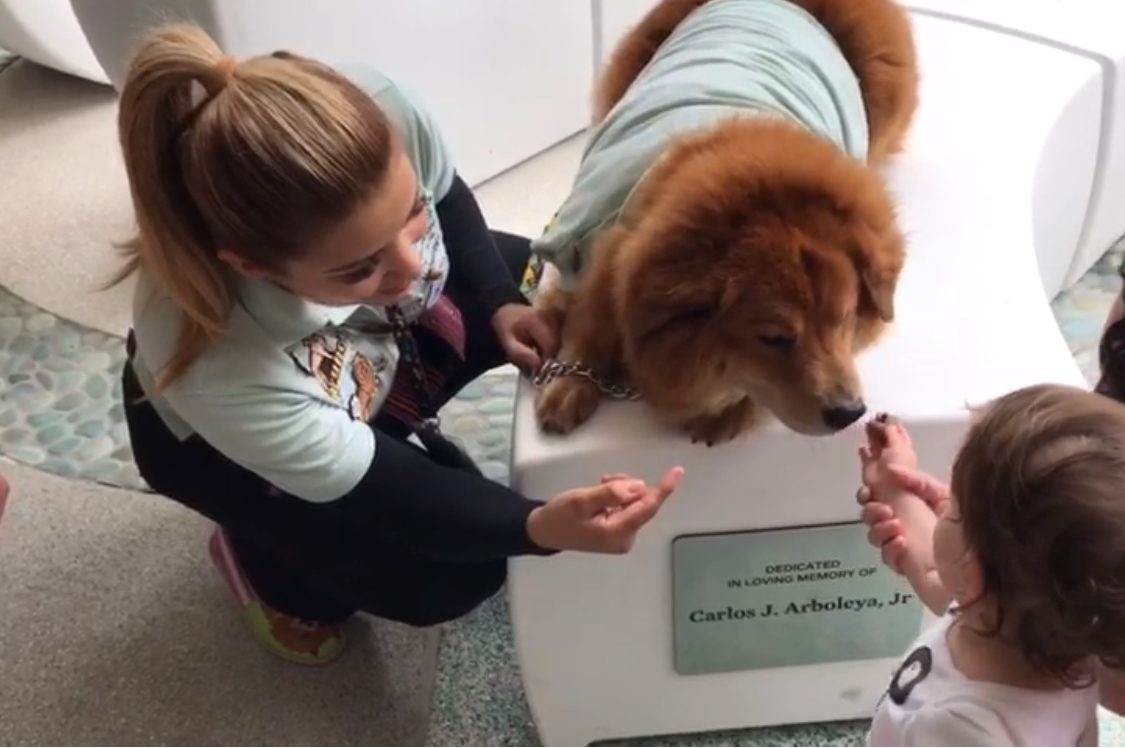 Event Cardiology Patients Reunion | Ale Ramos Therapy Animals