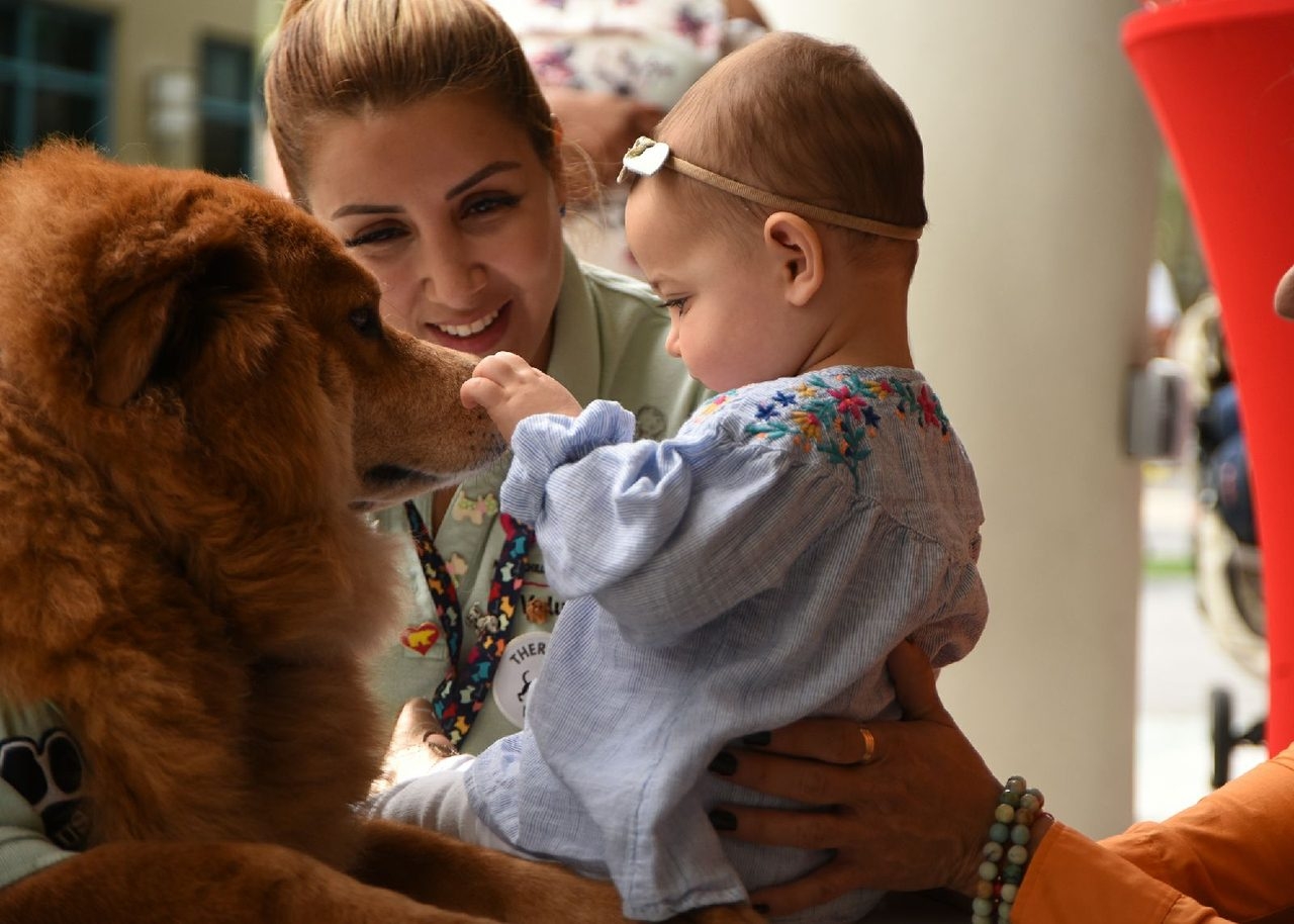 Event Cardiology Patients Reunion | Ale Ramos Therapy Animals