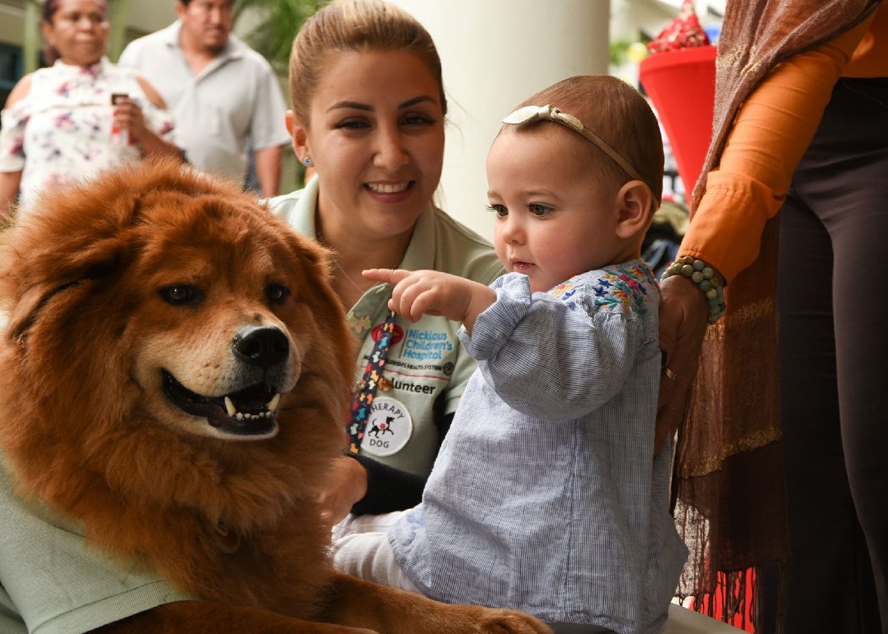 Event Cardiology Patients Reunion | Ale Ramos Therapy Animals